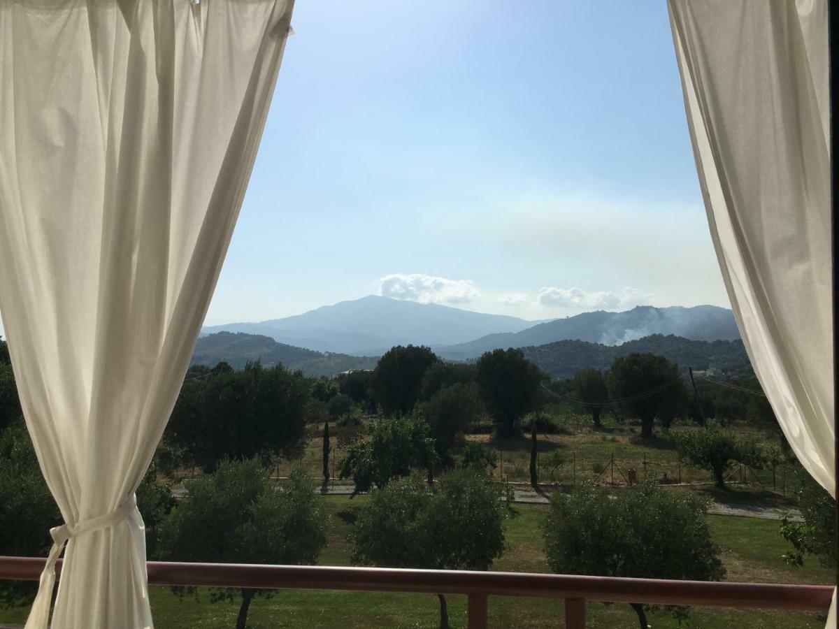 Corbezzolo Vallo della Lucania Exterior foto